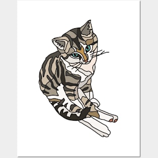 Tabby Kitten Sitting in Funny Position Posters and Art